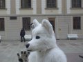IMGP3210.JPG